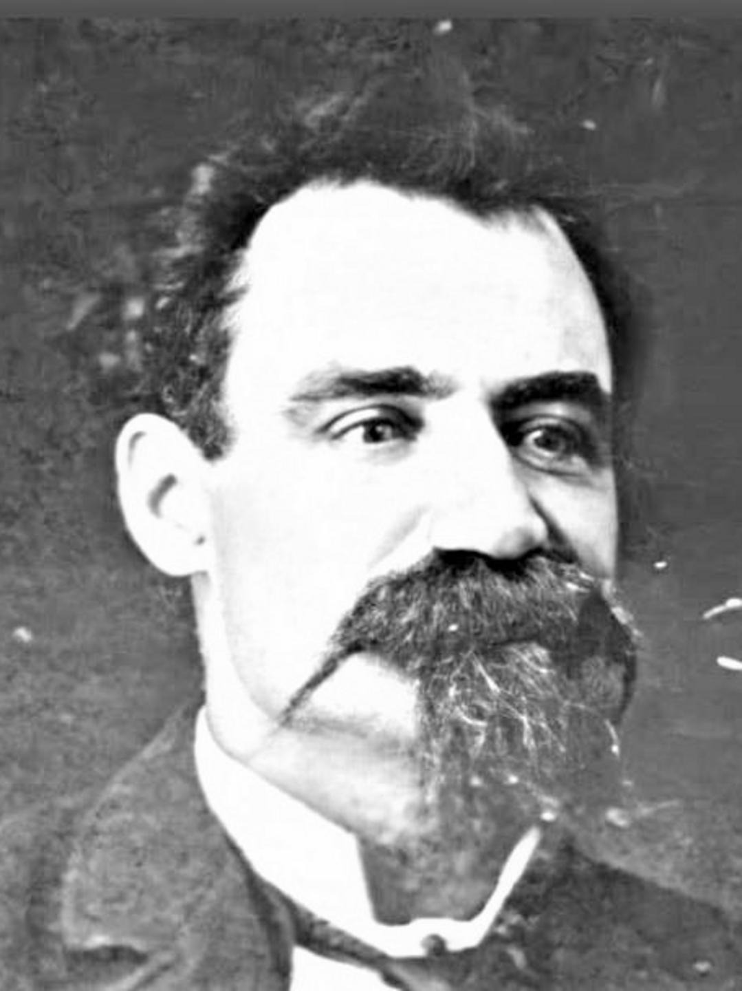 William Rees (1842 - 1905) Profile
